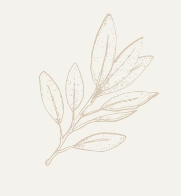 sage sage